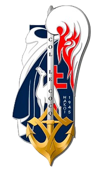 Insigne_metz et strasbourg